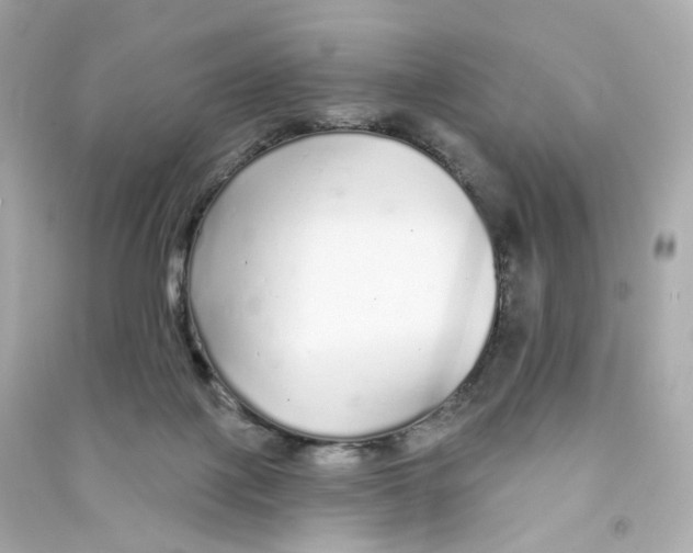 X0000090460075200708102120