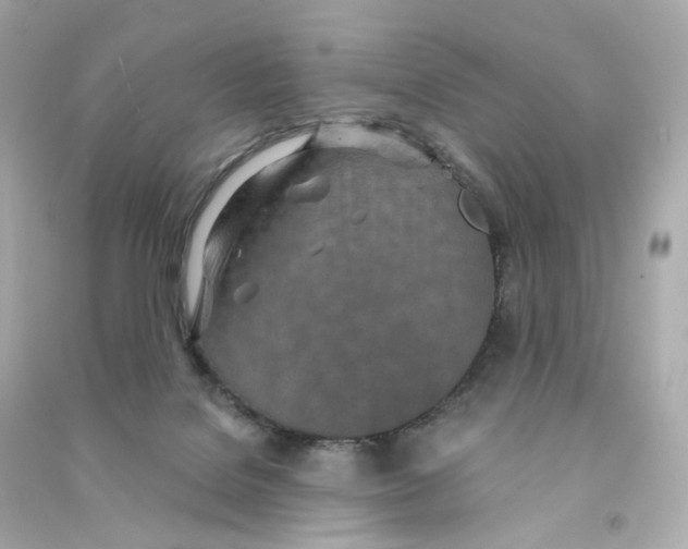 X0000090460076200708102120