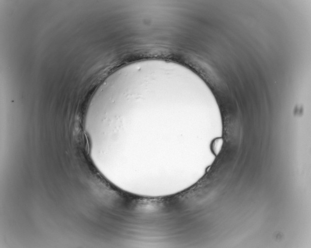 X0000090460077200708102120