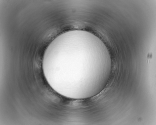 X0000090460078200708102120