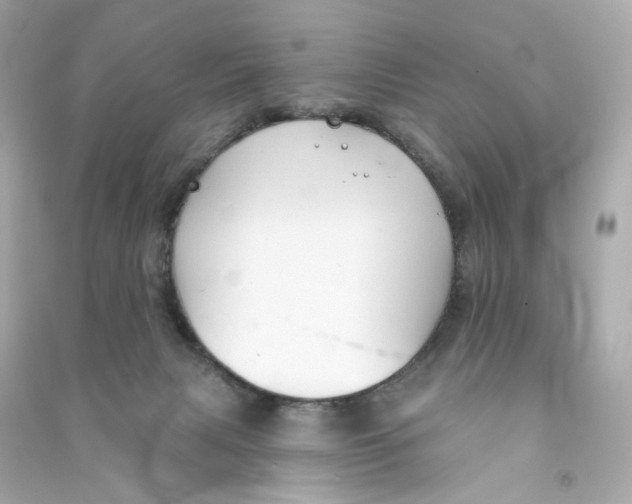 X0000090460079200708102120