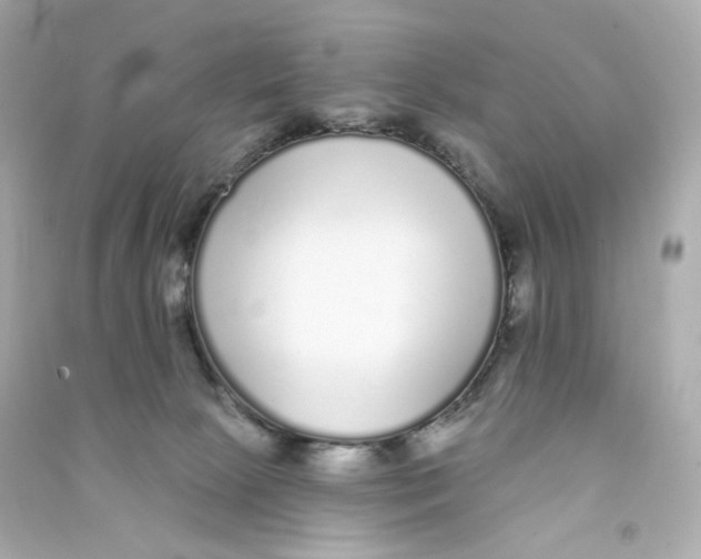 X0000090460081200708102120