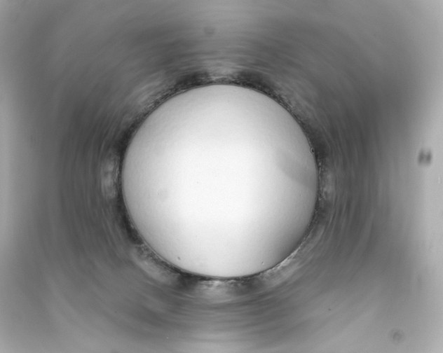 X0000090460082200708102120