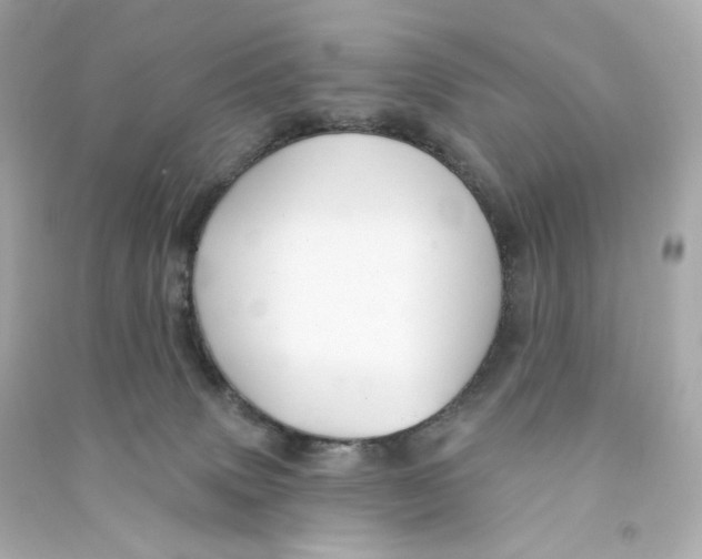 X0000090460083200708102120