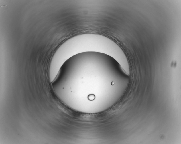 X0000090460084200708102120