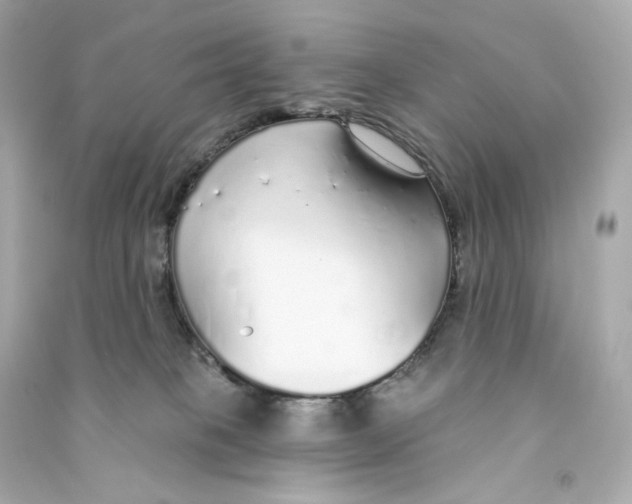 X0000090460085200708102120