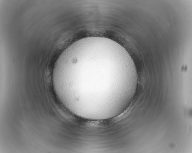 X0000090460086200708102120