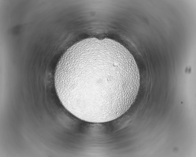 X0000090460087200708102120