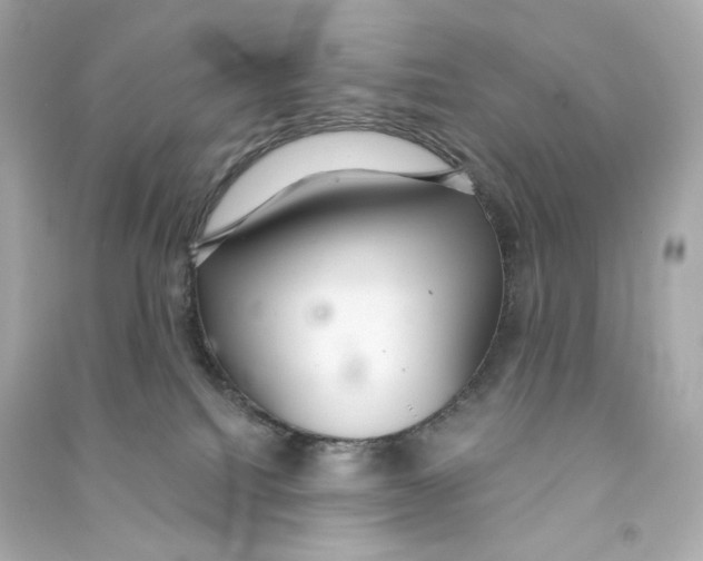 X0000090460088200708102120