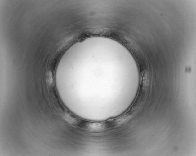 X0000090460089200708102120