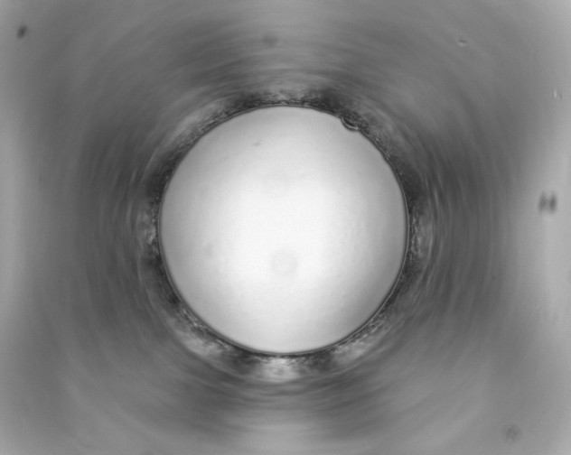 X0000090460091200708102120