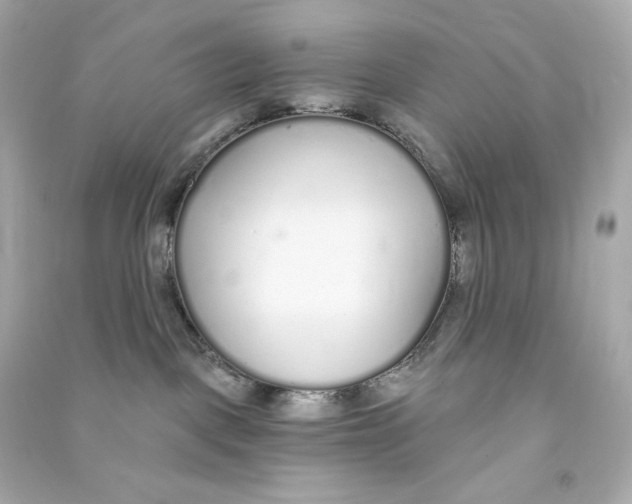 X0000090460093200708102121