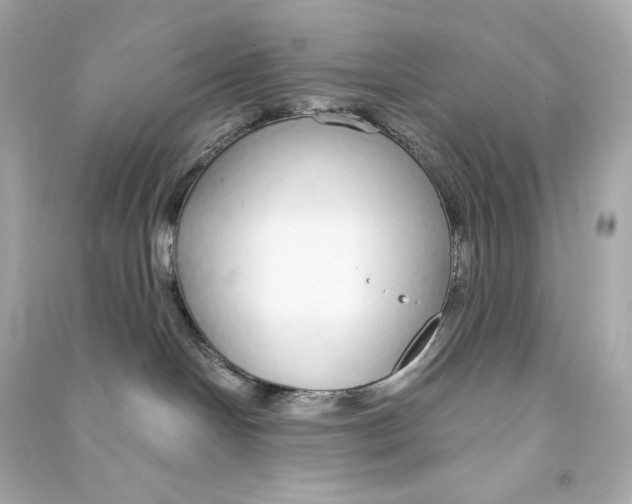 X0000090460094200708102121