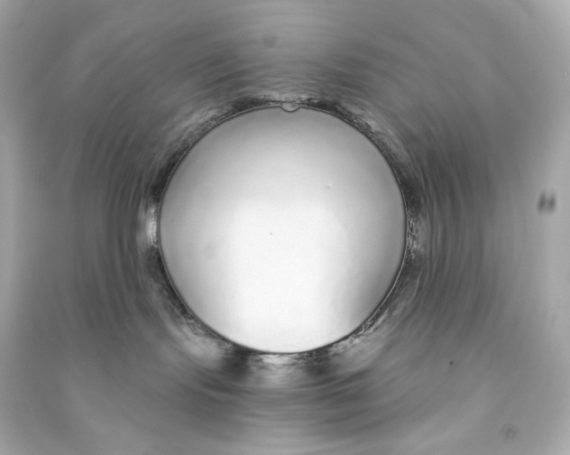 X0000090460095200708102121