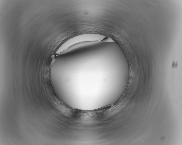 X0000090460096200708102121