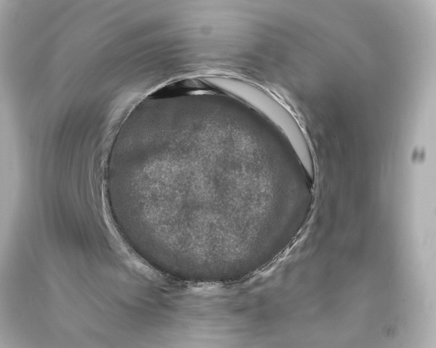 X0000090460097200708102120