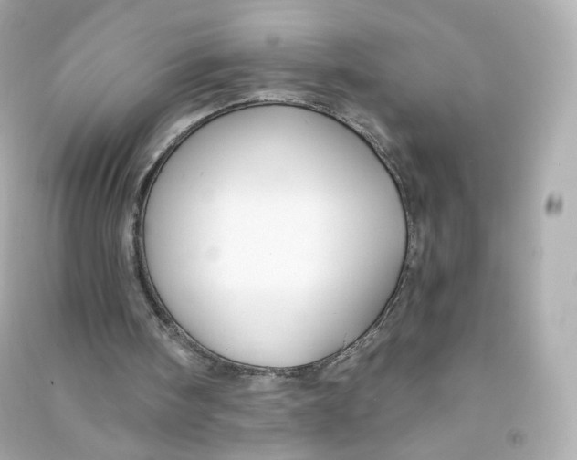 X0000090460098200708102120