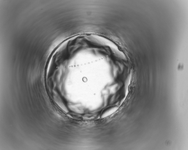 X0000090460099200708102120