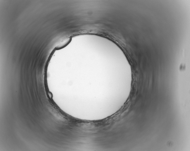 X0000090460100200708102120