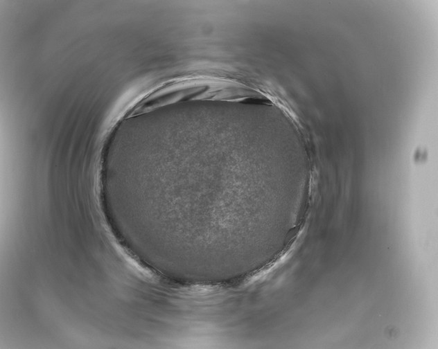 X0000090460101200708102120