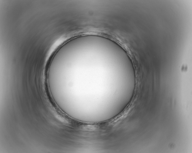 X0000090460102200708102120