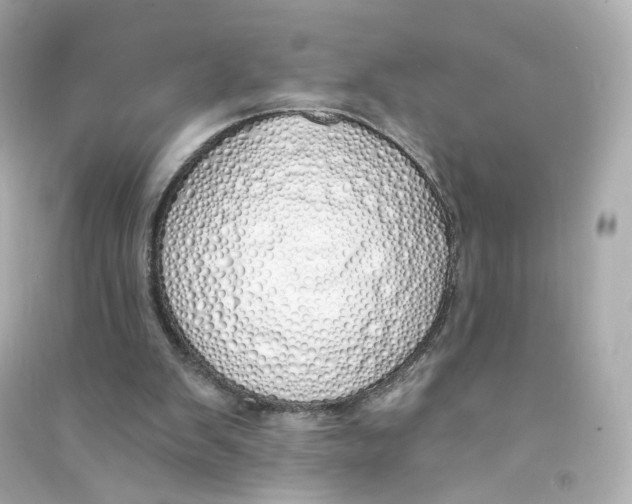 X0000090460103200708102120