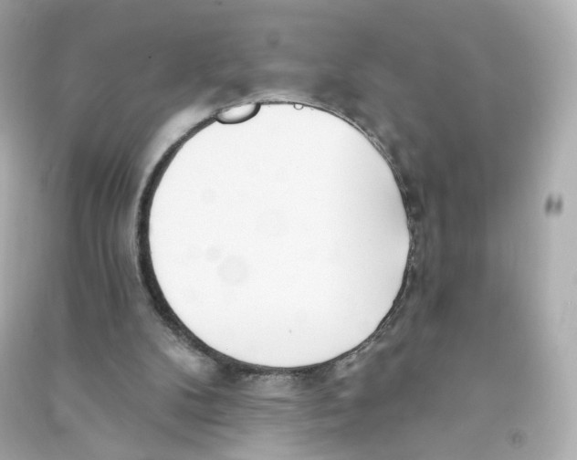 X0000090460104200708102120