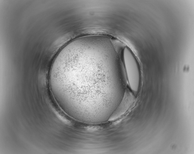 X0000090460105200708102120