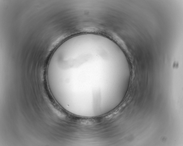 X0000090460106200708102120