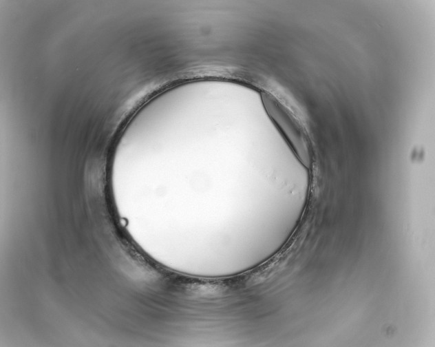 X0000090460107200708102120