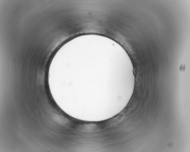 X0000090460108200708102120