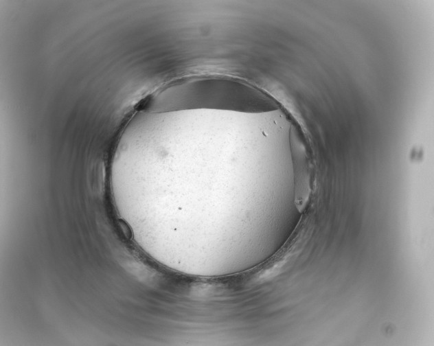 X0000090460109200708102120