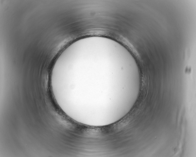 X0000090460110200708102120