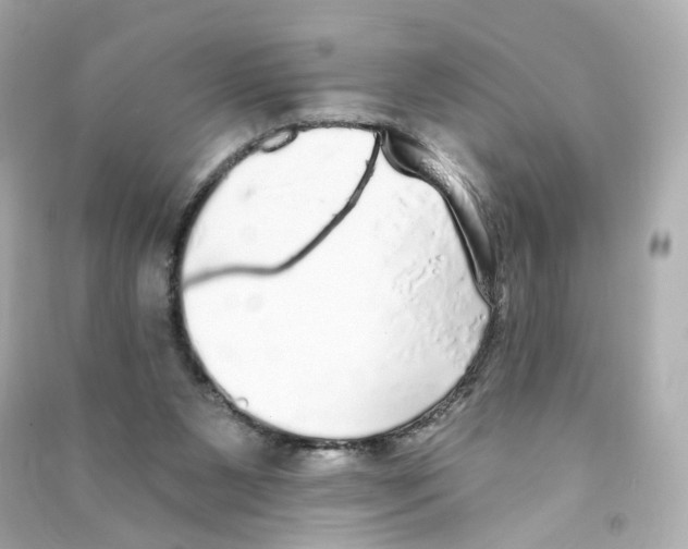 X0000090460111200708102120