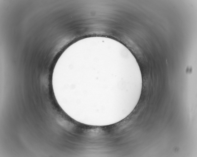 X0000090460112200708102120