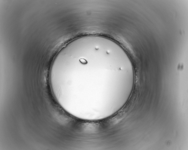 X0000090460115200708102119