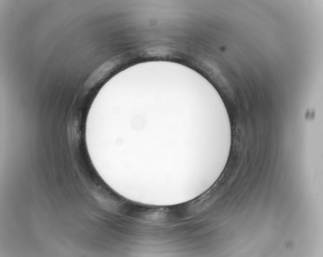 X0000090460116200708102119