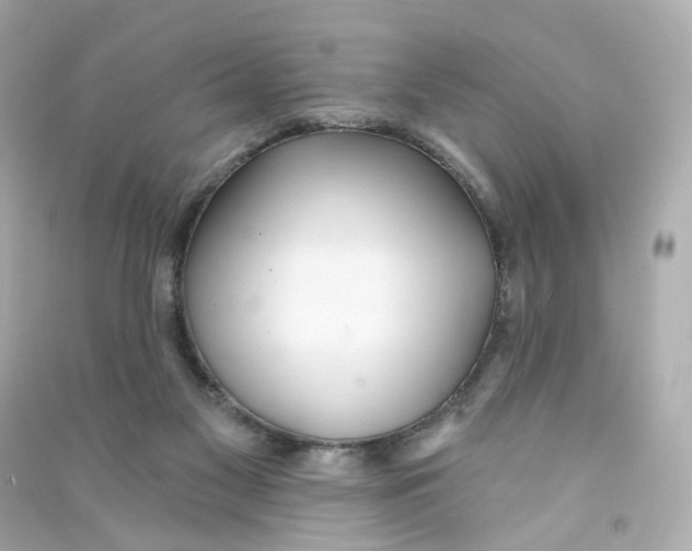 X0000090460117200708102119