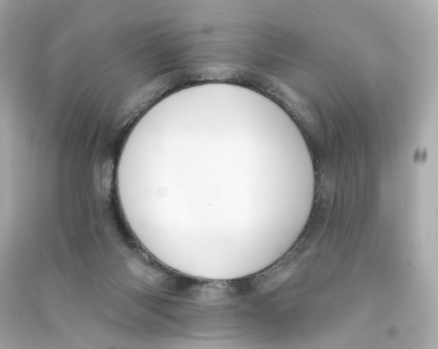 X0000090460118200708102119