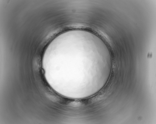 X0000090460119200708102119