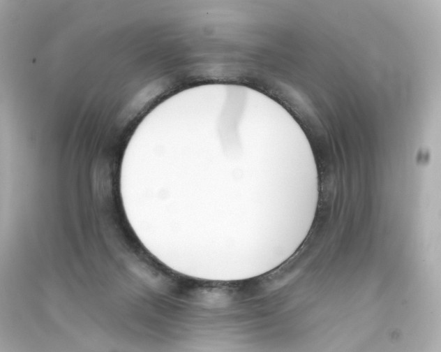 X0000090460120200708102119