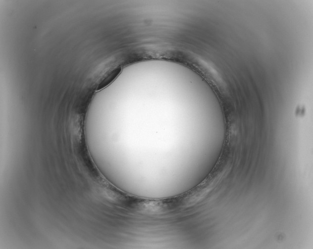 X0000090460121200708102119