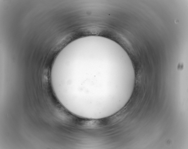 X0000090460122200708102119