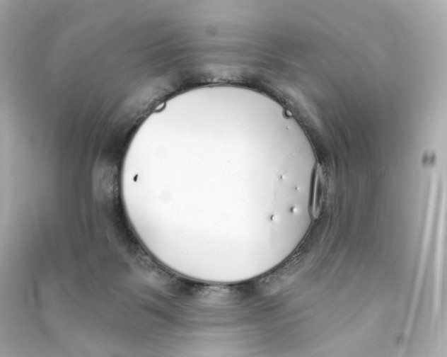 X0000090460123200708102119