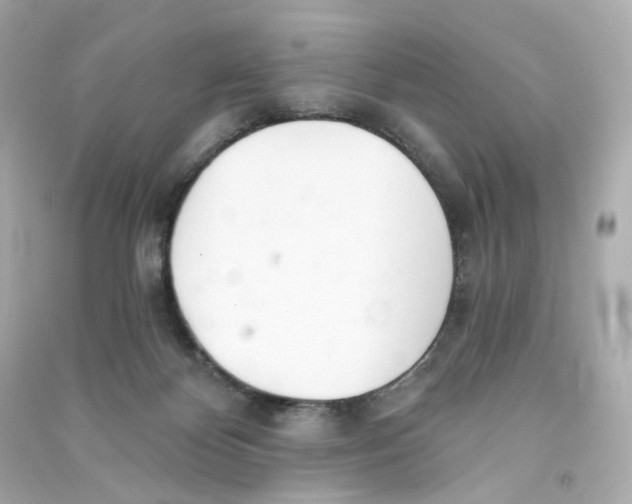 X0000090460124200708102119