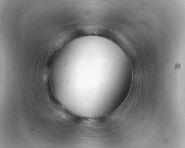 X0000090460125200708102119