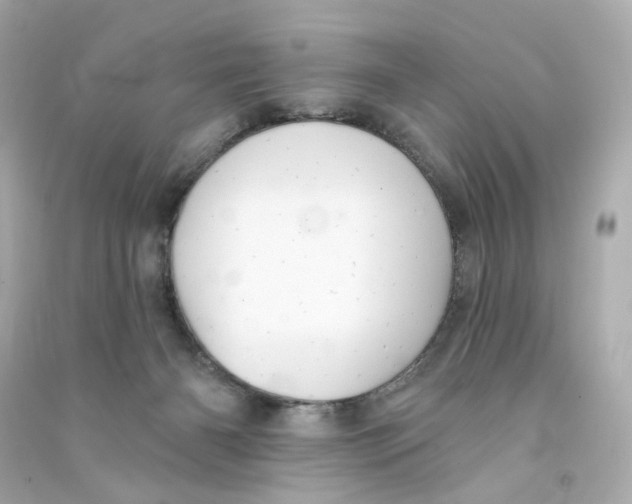 X0000090460126200708102119