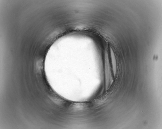 X0000090460127200708102119