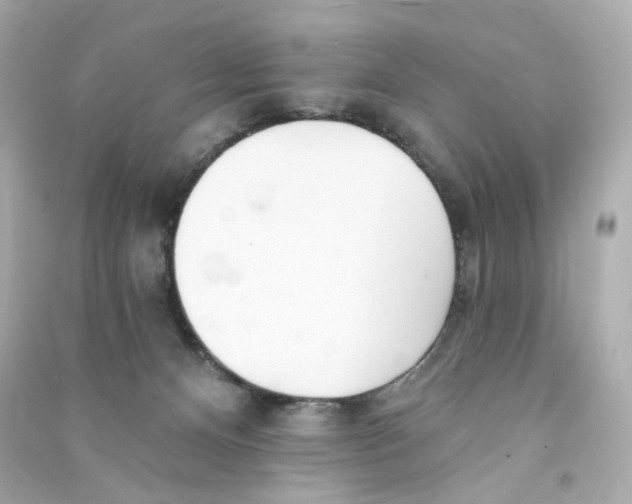 X0000090460128200708102119