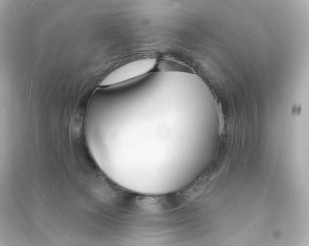 X0000090460129200708102119